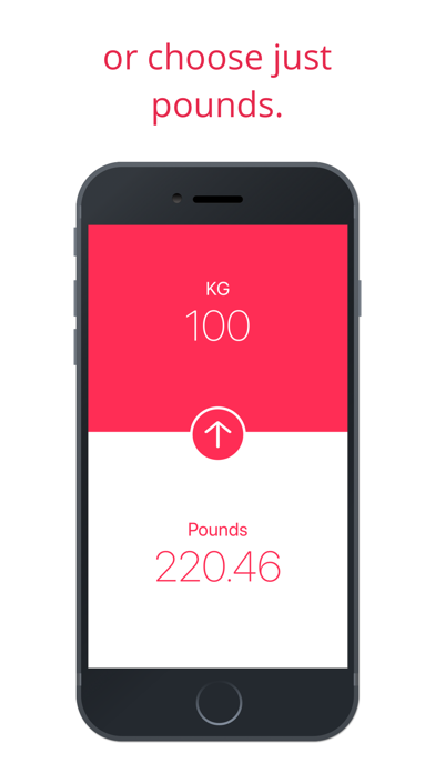 KG Converter screenshot 2
