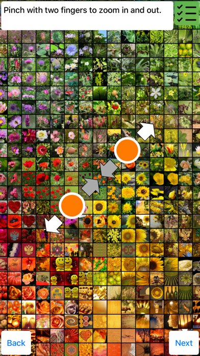 Kiano - All photos at once screenshot 2