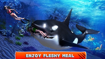 Killer Whale Beach Attack 3D screenshot 2