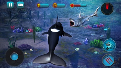 Killer Whale Beach Attack 3D screenshot 3