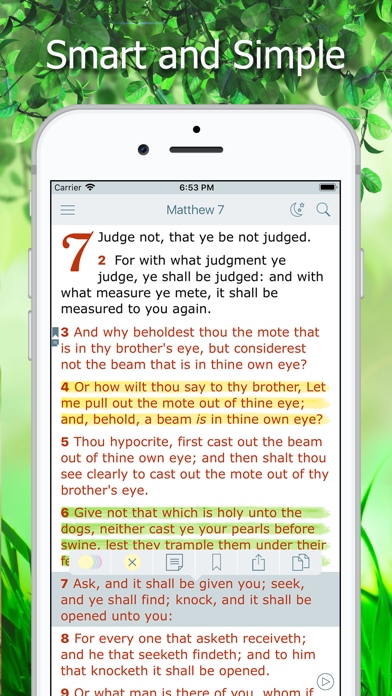 King James Bible with Audio screenshot 4