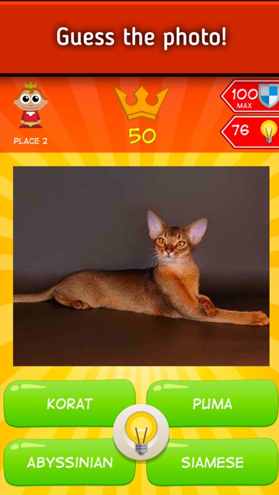King size Quiz screenshot 3