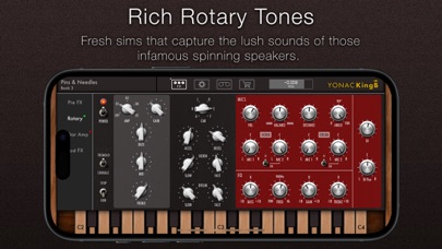 KingB Organ screenshot 4