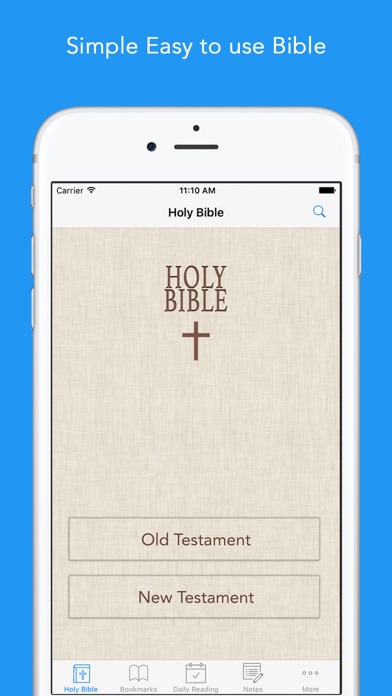KJV Bible: King James Version screenshot 5