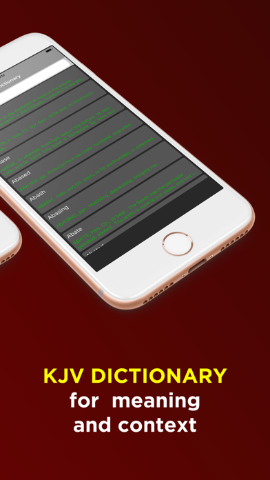 KJV Bible Offline - Audio KJV screenshot 3