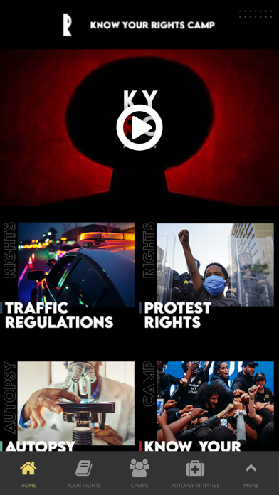 Know Your Rights Camp screenshot 4