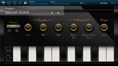 KORG Module screenshot 1