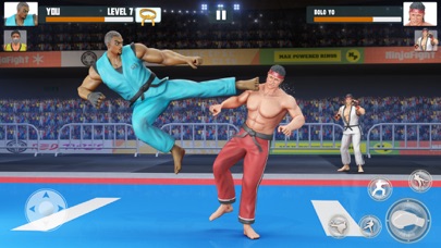 Kung Fu Fight: Karate Fighter screenshot 2