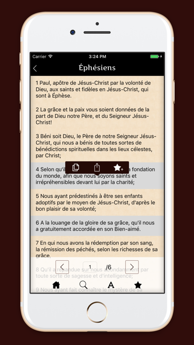 La Sainte Bible - français screenshot 3