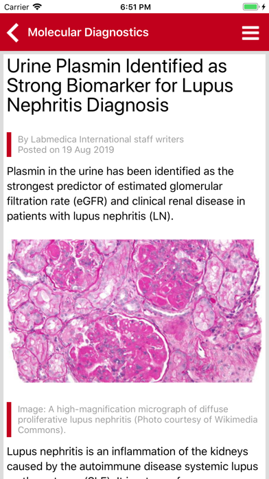 LabMedica screenshot 6