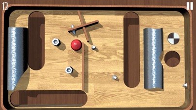 Labyrinth Trap screenshot 1