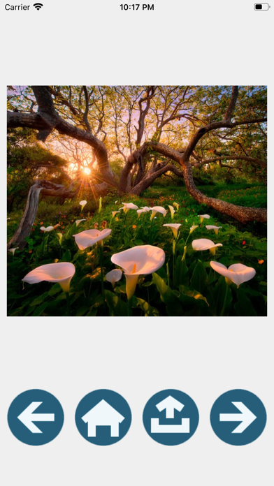 Landscapes pretty images screenshot 2