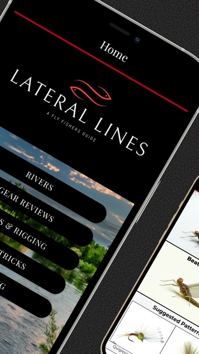 Lateral Lines screenshot 4