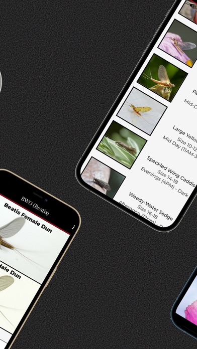 Lateral Lines screenshot 3