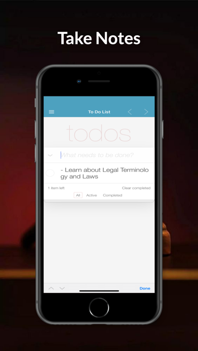 Law & Legal Terminology screenshot 1