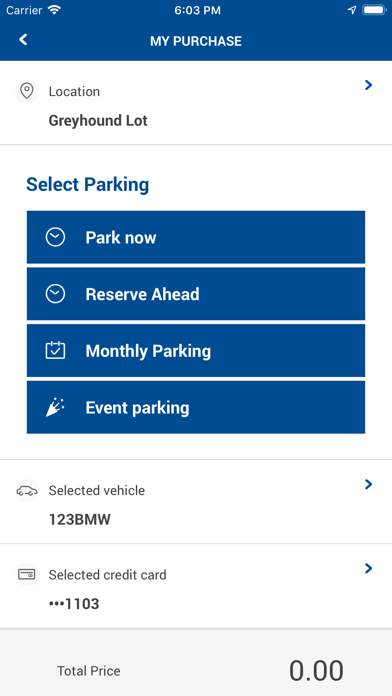 LAZ Parking screenshot 1
