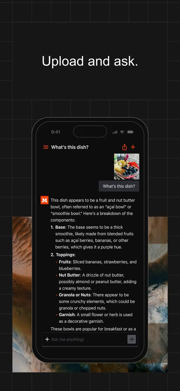 Le Chat by Mistral AI screenshot 3