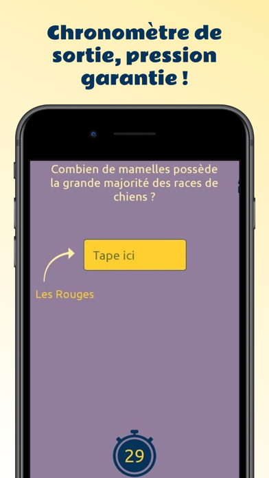 Le Tout Pile : quiz entre amis screenshot 2