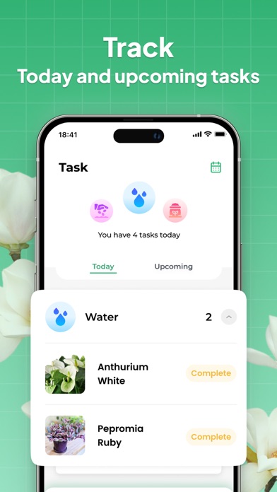 LeafSnap-Plant Identification screenshot 2