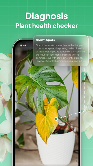 LeafSnap-Plant Identification screenshot 4