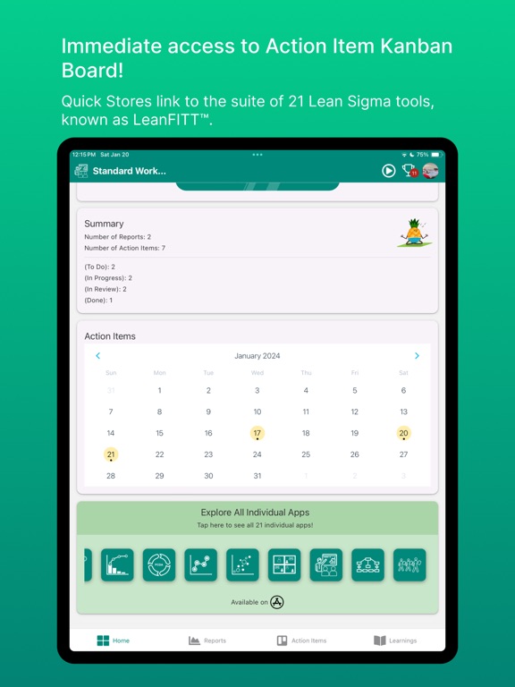 Lean Standard Work Rpt screenshot 9