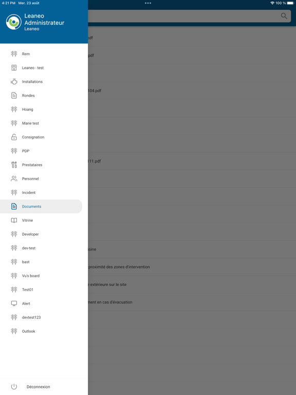 Leaneo screenshot 8