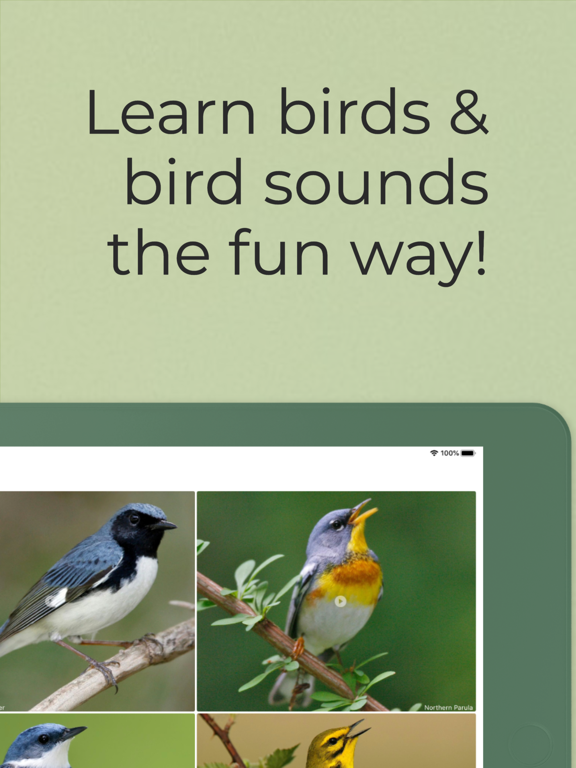 Learn Bird Watching—Larkwire screenshot 1
