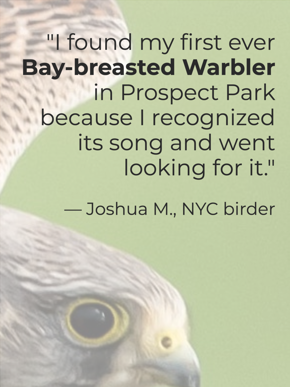 Learn Bird Watching—Larkwire screenshot 4