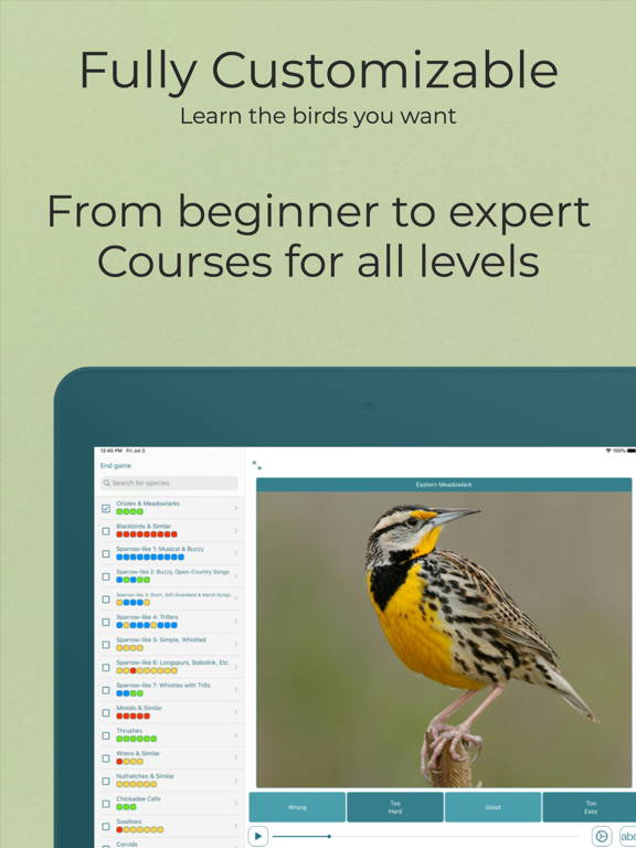 Learn Bird Watching—Larkwire screenshot 3