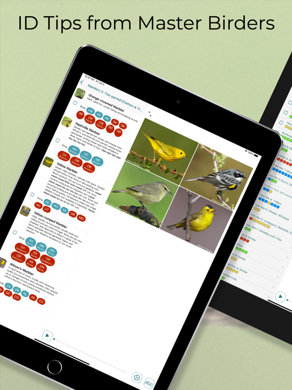Learn Bird Watching—Larkwire screenshot 8