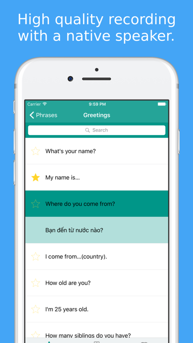 Learn Northern & Southern Vietnamese Phrasebook screenshot 4