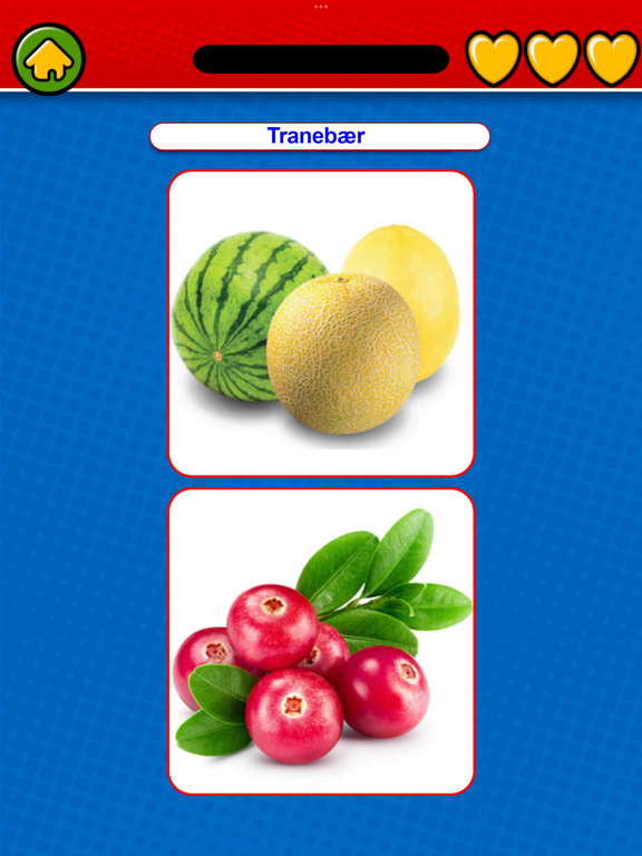 Learn Norwegian Flashcards screenshot 8