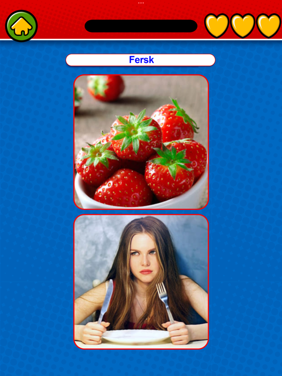 Learn Norwegian Flashcards screenshot 9