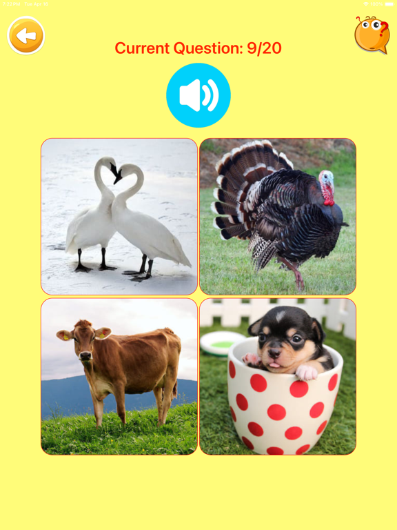 Learn Norwegian Vocabulary screenshot 4