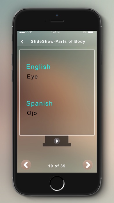 Learn Spanish- 24/7 Offline screenshot 1
