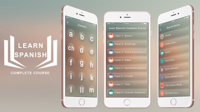 Learn Spanish- 24/7 Offline screenshot 2