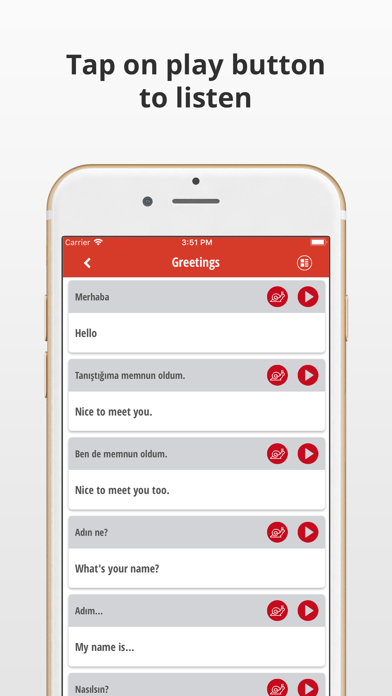 Learn Turkish Language Phrases screenshot 3