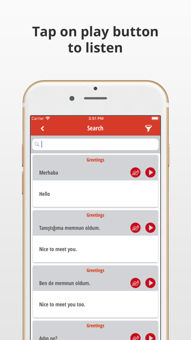 Learn Turkish Language Phrases screenshot 1