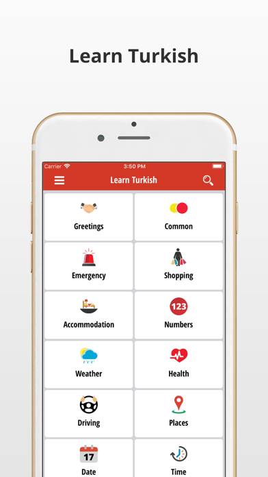 Learn Turkish Language Phrases screenshot 4