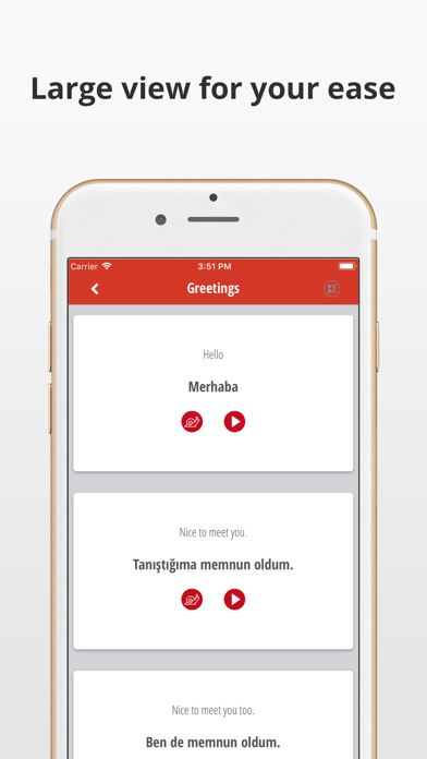 Learn Turkish Language Phrases screenshot 2