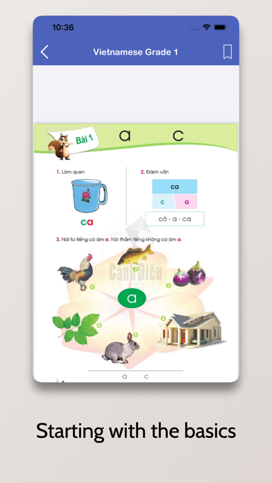 Learn Vietnamese - Beginner 1 screenshot 4