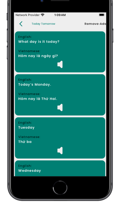 Learn Vietnamese Language! screenshot 2