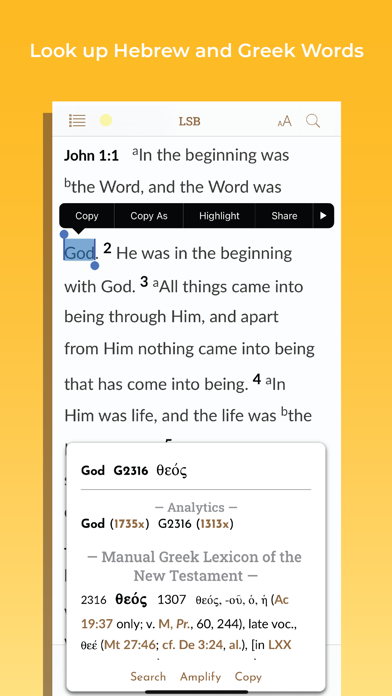Legacy Standard Bible screenshot 4