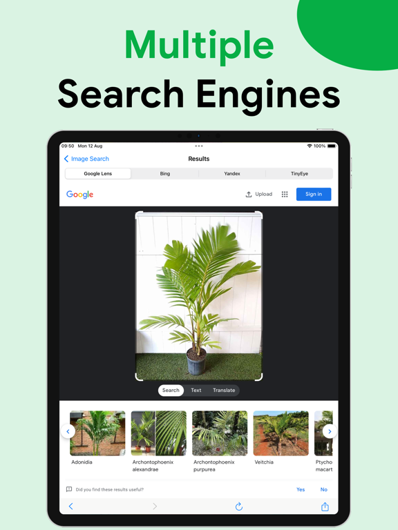 Lens: Reverse Image Search AI screenshot 3