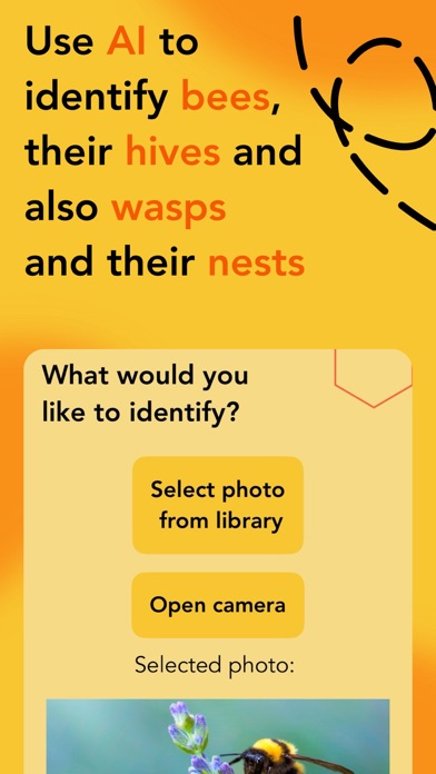 Let's Bee Friends screenshot 1