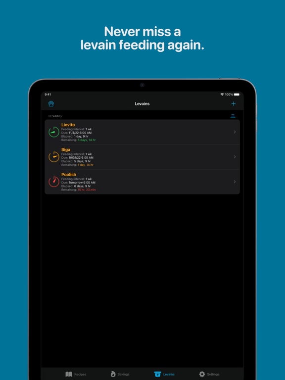 Levain screenshot 4
