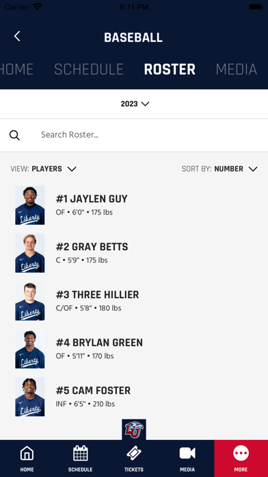 Liberty Flames screenshot 1