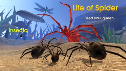 Life Of Spider screenshot 4
