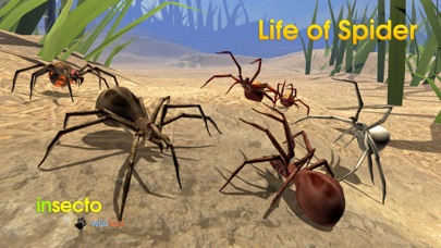 Life Of Spider screenshot 3