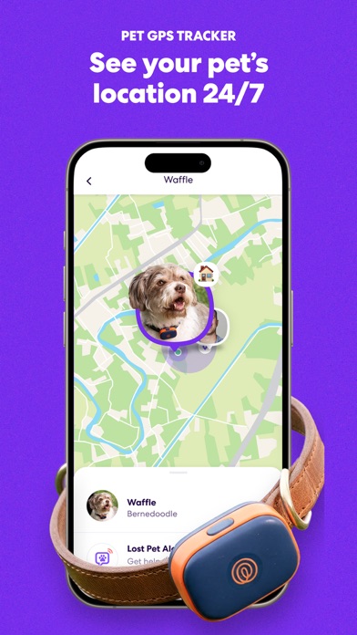 Life360: Stay Connected & Safe screenshot 6